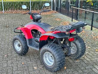 Quads  Eton Yukon 150cc Utility picture 3
