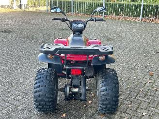 Quads  Eton Yukon 150cc Utility picture 4
