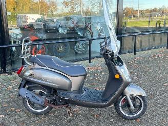 Sym  Fiddle 2 picture 6