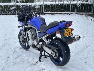 Yamaha FZS 1000 Fazer picture 3