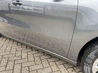 Citroën C4 Grand PICASSO 1.6 BlueHDI Shine 7-persoons picture 32