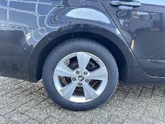 Skoda Octavia Combi 1.4 TSI Greentech Ambition Businessline picture 32