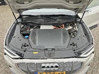 Audi E-tron 55 Quattro Advanced 95 kWh picture 42