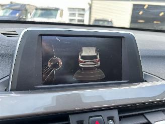 BMW X1 SDRIVE18I Centennial High Executive picture 30