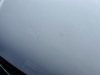 Ford Transit CUSTOM 280 2.0 TDCI L1H1 Trend picture 29