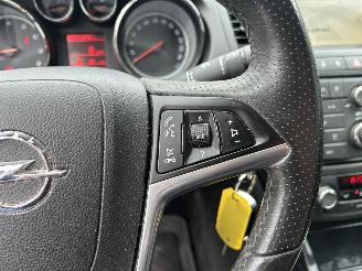 Opel Insignia 2.0 T Cosmo picture 17