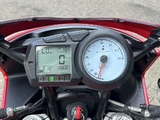 Ducati Multistrada 1000 DS picture 16