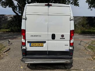 Fiat Ducato  picture 6