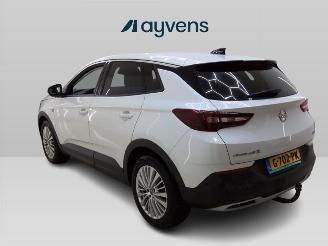 Opel Grandland X picture 4