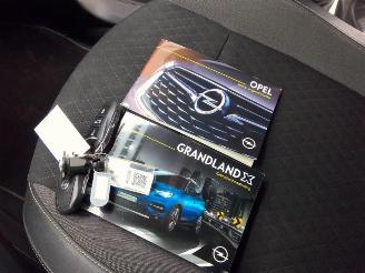 Opel Grandland X picture 12