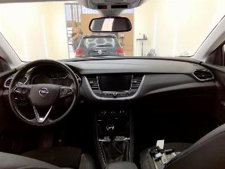 Opel Grandland X picture 7