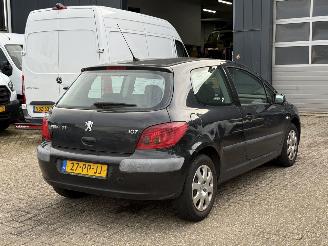 Peugeot 307  picture 3
