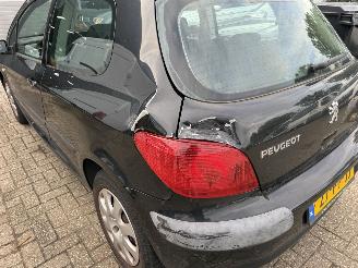 Peugeot 307  picture 12