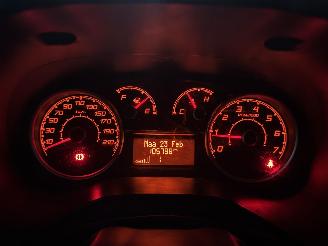 Fiat Doblo  picture 12