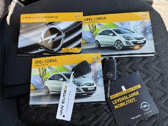 Opel Corsa 1.4-16V Design Edition Hatchback 5-dr. picture 5