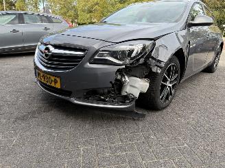 Opel Insignia  picture 11