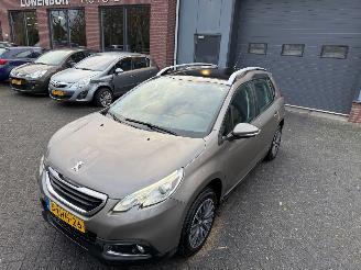 Peugeot 2008 1.6 VTi Active  PANORAMADAK SUV 5-dr. picture 10