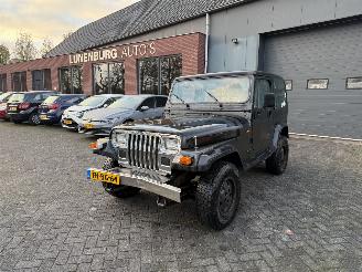  Jeep Wrangler 2.5i Hardtop (Terreinwagen 2-dr.) 1992/10