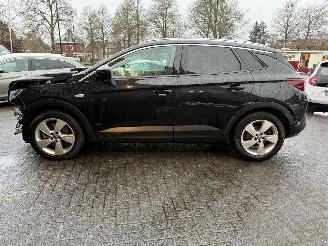 Opel Grandland X - 1.6 Turbo Hybrid Business Edition picture 16