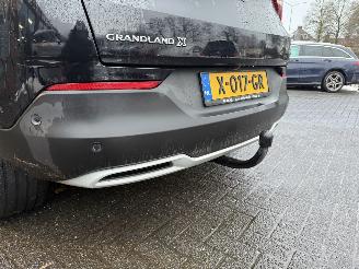 Opel Grandland X - 1.6 Turbo Hybrid Business Edition picture 30