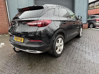 Opel Grandland X - 1.6 Turbo Hybrid Business Edition picture 13