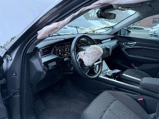 Audi E-tron 55 quattro edition 95 kWh  PANORAMADAK picture 12