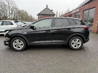 Opel Grandland 1.2 Turbo Online Edition (SUV 5-dr.) picture 8