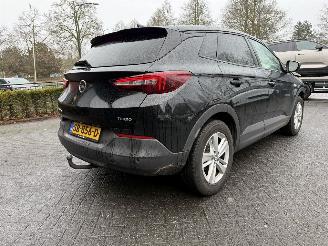  Opel Grandland 1.2 Turbo Online Edition (SUV 5-dr.) 2018/3