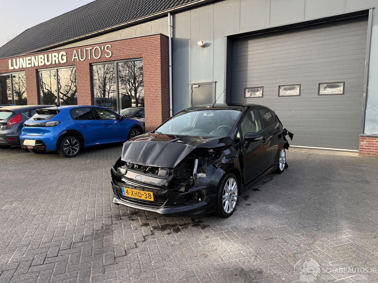 Ford Fiesta 1.0 EcoBoost Hot Hatch (Hatchback 5-dr.)