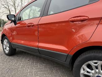 Ford EcoSport 1.0 EcoBoost Titanium (SUV 5-dr.) picture 13