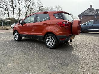 Ford EcoSport 1.0 EcoBoost Titanium (SUV 5-dr.) picture 31