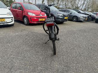 Stella  VINCENZA picture 4