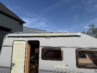 Kip  Celebration  44 ttz  MOVER  SCHADEVRIJ picture 35