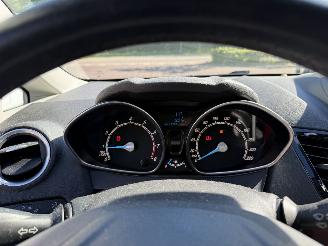 Ford Fiesta 1.0 EcoBoost Titanium (Hatchback 5-dr.) picture 19