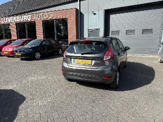 Schadeauto Ford Fiesta 1.25 (Hatchback 5-dr.) 2017/5