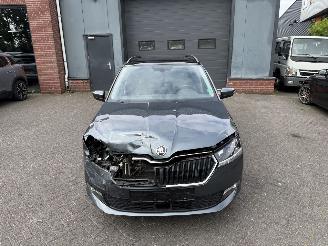 Skoda Fabia 1.0 TSI Style PANORAMADAK  (Stationwagen 5-dr.) picture 8