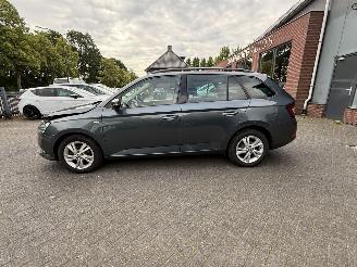 Skoda Fabia 1.0 TSI Style PANORAMADAK  (Stationwagen 5-dr.) picture 2