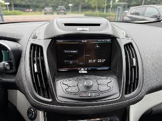Ford C-Max 2.0 Plug-in Hybrid Titanium Plus (MPV 5-dr.) picture 23