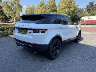 Land Rover Range Rover Evoque 2.0 Si 4WD Pure picture 5