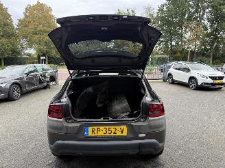 Citroën C4 cactus 1.2 PureTech One-Tone (SUV 5-dr.) picture 16