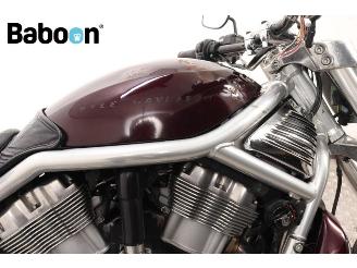 Harley-Davidson  VRSCR Street Rod picture 12