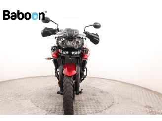 Triumph Tiger 800 XRT ABS picture 3