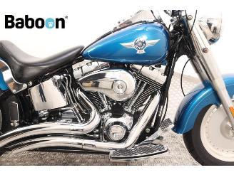 Harley-Davidson  FLSTF Fat Boy picture 11