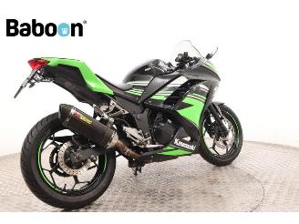 Kawasaki  Ninja 300 picture 8