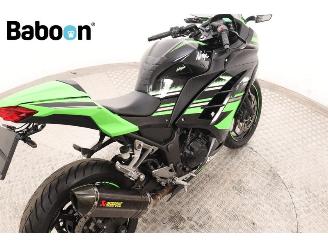 Kawasaki  Ninja 300 picture 16