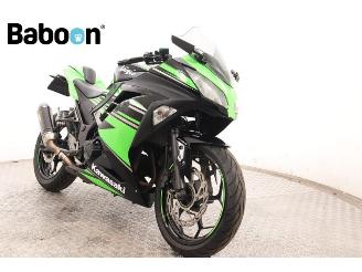 Kawasaki  Ninja 300 picture 2