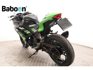 Kawasaki  Ninja 300 picture 6