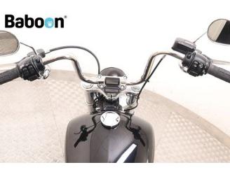 Harley-Davidson  FXST Softail Standard 107 picture 16