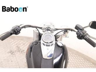 Harley-Davidson  FLDE Softail Deluxe ABS picture 16