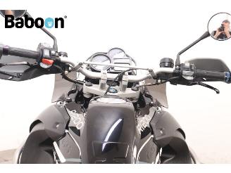 BMW R 1200 GS Adventure picture 13